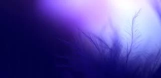 10-img